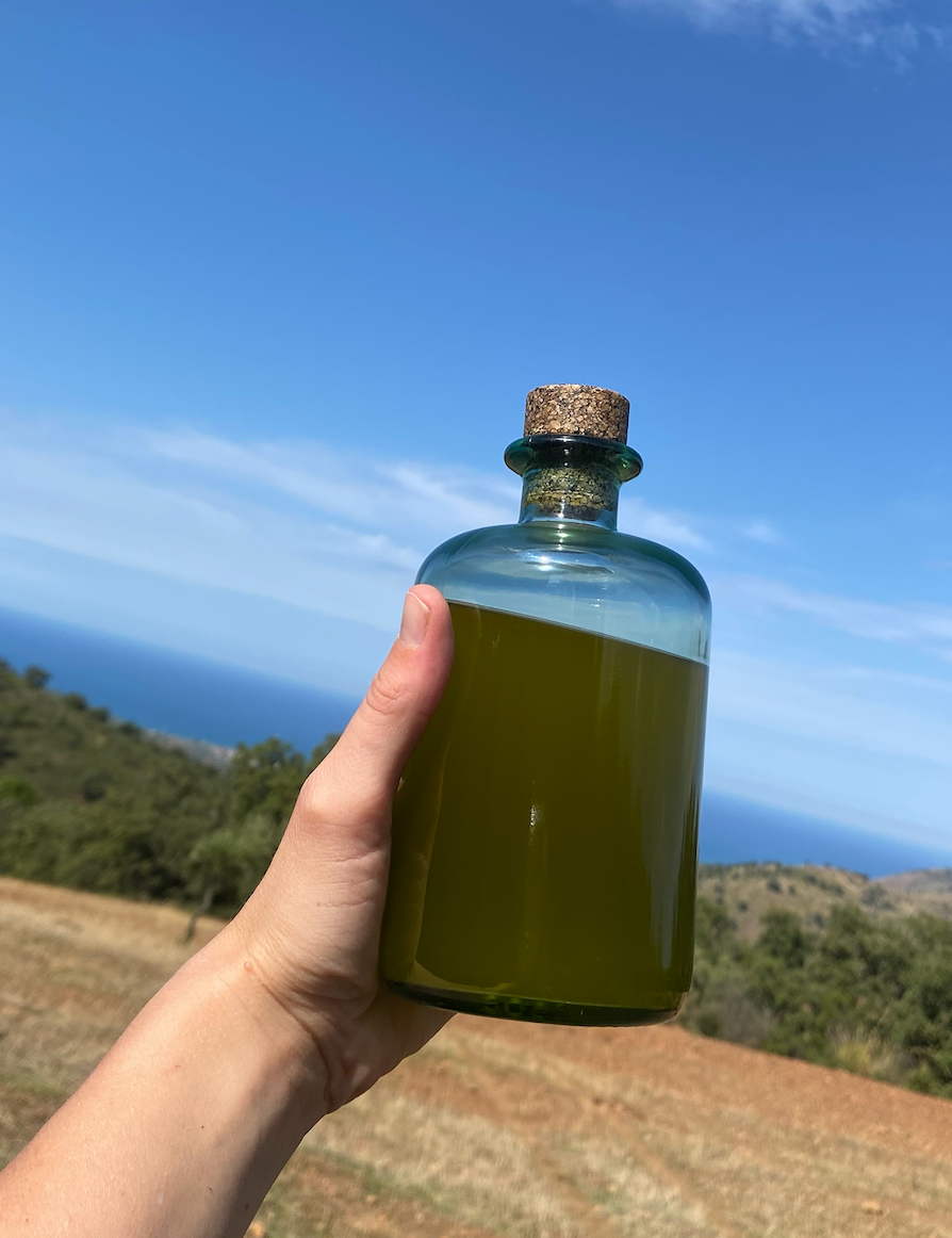 Bottle